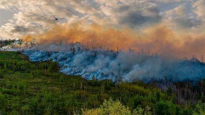 Заповедник загорелся из-за сухих гроз в Хабаровском крае