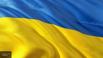 Депутат Европарламента заявил, что протест властей Украины на визит в Крым — это "ритуал"
