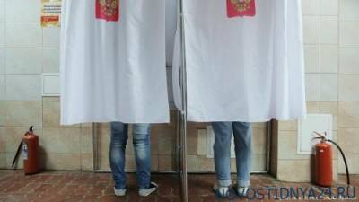 EPDE критикует привлечение «фейковых наблюдателей» к голосованию в РФ