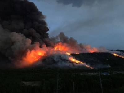 В Greenpeace сообщили о пожаре на 3 млн гектаров леса в России
