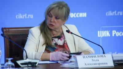 Памфилова отметила легитимность и прозрачность голосования по поправкам