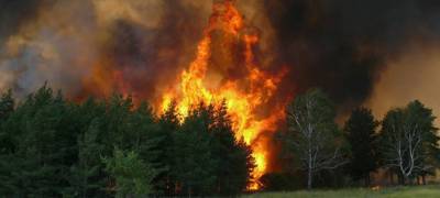 В Карелии растет число лесных пожаров