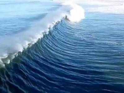 Огромная волна внезапно накрыла молодоженов и унесла их в океан
