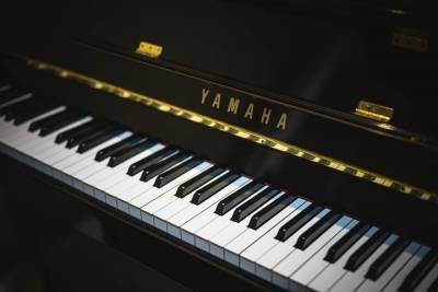 Новые рояли и пианино закупили для школ искусств Ставрополя
