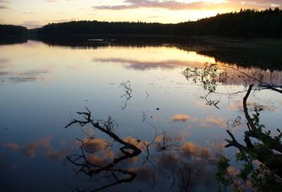 Фото: житель Выборга показал красоту озера Беспокойное
