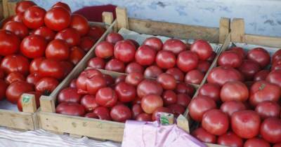В Украине резко подорожали помидоры