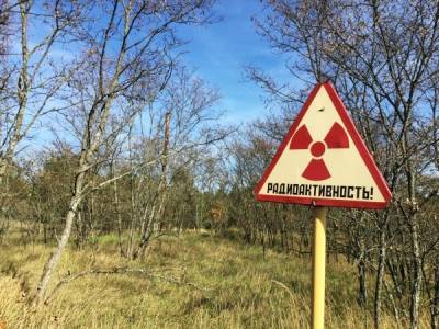 МАГАТЭ не может установить источник повышения радиации в Северной Европе у границ РФ