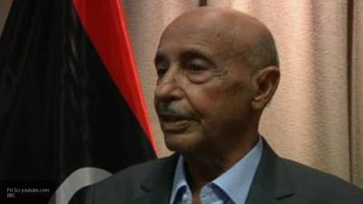 Салех объяснил причину войны в Ливии на переговорах с Матвиенко