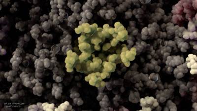 Инфекционист выявил более опасный штамм коронавируса