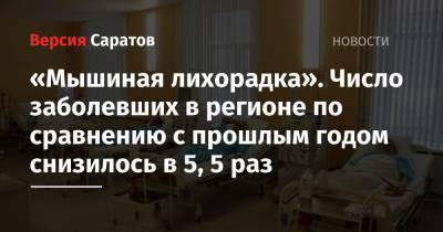 «Мышиная лихорадка». Число заболевших в регионе по сравнению с прошлым годом снизилось в 5, 5 раз