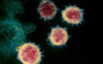 По миру распространяется более заразный штамм коронавируса, – ученые