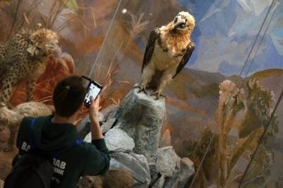Дарвиновский музей представил новую виртуальную выставку