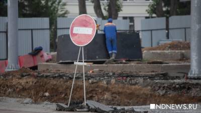 «Регионы считают, что Москва их обкрадывает»: столицу ненавидят за «сезонные бордюры» и пластиковые сакуры