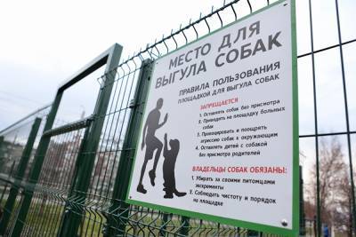 В Челябинске за ₽9 млн приведут в порядок тропу от памятника Курчатова до Худякова