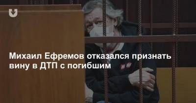 Михаил Ефремов отказался признать вину в ДТП с погибшим