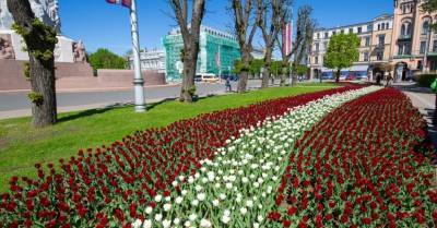 План национального развития: чего Латвия хочет добиться за семь лет