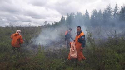 2,6 млрд. рублей дополнительно выделят регионам на борьбу с лесными пожарами
