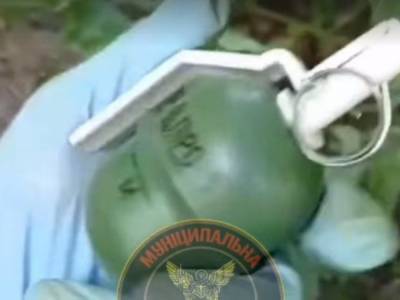 В столичном парке нашли «растяжку» с гранатой: могли пострадать дети