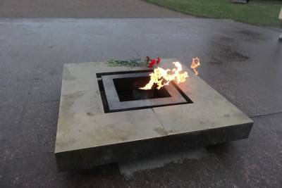Суд оштрафовал участницу пикника на Вечном огне в Кронштадте
