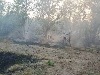 В Белокалитвинском районе вновь разгорелся лесной пожар