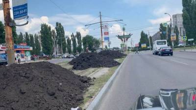В мэрии Воронежа объяснили, зачем засыпают чернозёмом трамвайные рельсы на Остужева