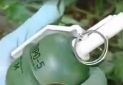 В киевском парке обнаружили "растяжку" с гранатой (видео)