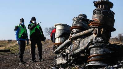 Нидерланды отказались переводить материалы дела MH17 на русский язык