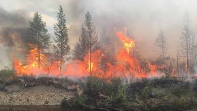 Рослесхоз подсчитал ущерб от лесных пожаров в России
