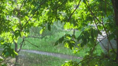 Прогноз погоды на 4 июля: сильный дождь ожидается в Павлодарской, Акмолинской и Карагандинской областях