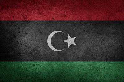 Глава Палаты представителей Ливии подробно рассказал Матвиенко о преступности режима ПНС