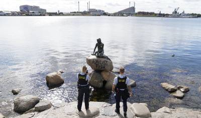 Борцы с расизмом в Копенгагене осквернили памятник Русалочке