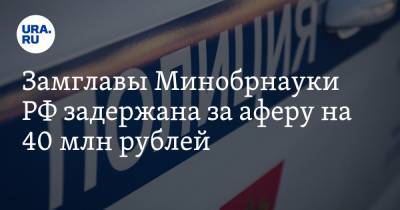 Замглавы Минобрнауки РФ задержана за аферу на 40 млн рублей