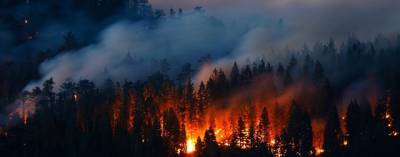 В Иркутской области ввели режим ЧС из-за лесных пожаров