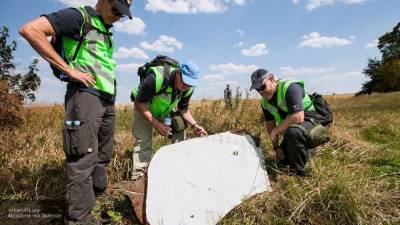 Нидерландский суд попросил приобщить к делу MH17 доклад российской компании "Алмаз-Антей"