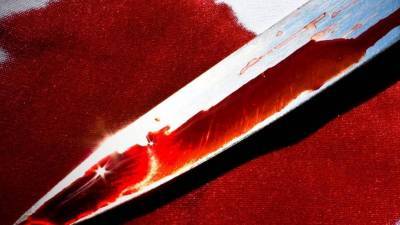 Ссора между сожителями закончилась ножом в живот в Воронежской области