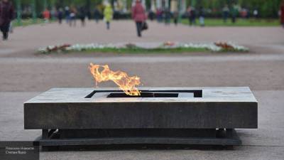 Участники пикника у Вечного огня в Кронштадте понесли наказание
