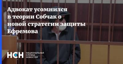 Адвокат усомнился в теории Собчак о новой стратегии защиты Ефремова