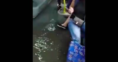 Под Москвой пассажиры автобуса ехали с ногами по щиколотку в воде