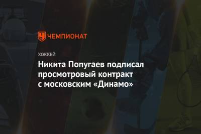 Никита Попугаев подписал просмотровый контракт с московским «Динамо»