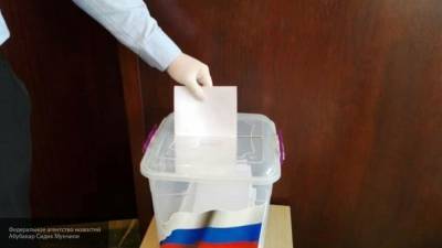 Политологи не удивлены скудной реакцией ЕК на итоги голосования по Конституции РФ