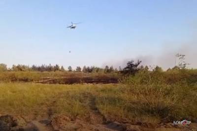 Огнем охвачено 7 гектаров: лесной пожар в Белокалитвинском районе помогает тушить авиация