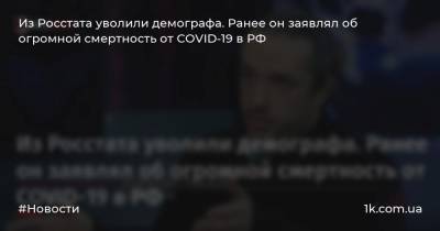 Из Росстата уволили демографа. Ранее он заявлял об огромной смертность от COVID-19 в РФ