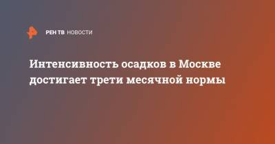 Интенсивность осадков в Москве достигает трети месячной нормы