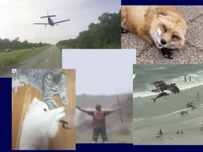 Самые интересные видео 3 июля - bloknot.ru - USA - штат Луизиана