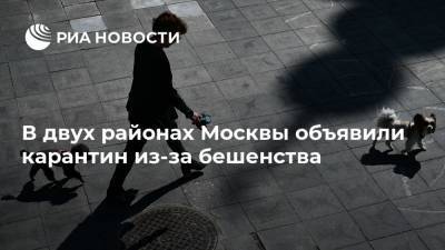 В двух районах Москвы объявили карантин из-за бешенства