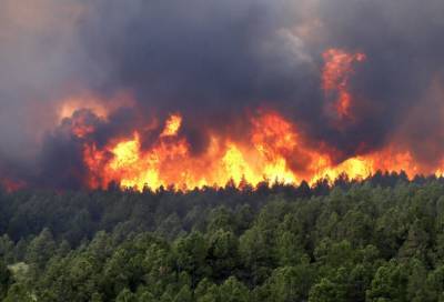 Специалисты предупредили об ухудшении пожарной обстановки в пяти регионах