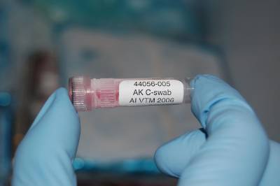 На Филиппинах обнаружили высокопатогенный птичий грипп - Cursorinfo: главные новости Израиля