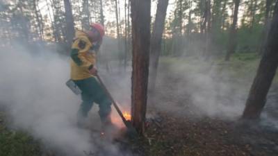 Новости на "России 24". Ситуация с лесными пожарами ухудшается