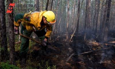В Приангарье локализованы почти все лесные пожары