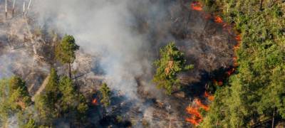 Новый лесной пожар зафиксирован в Карелии (ВИДЕО)